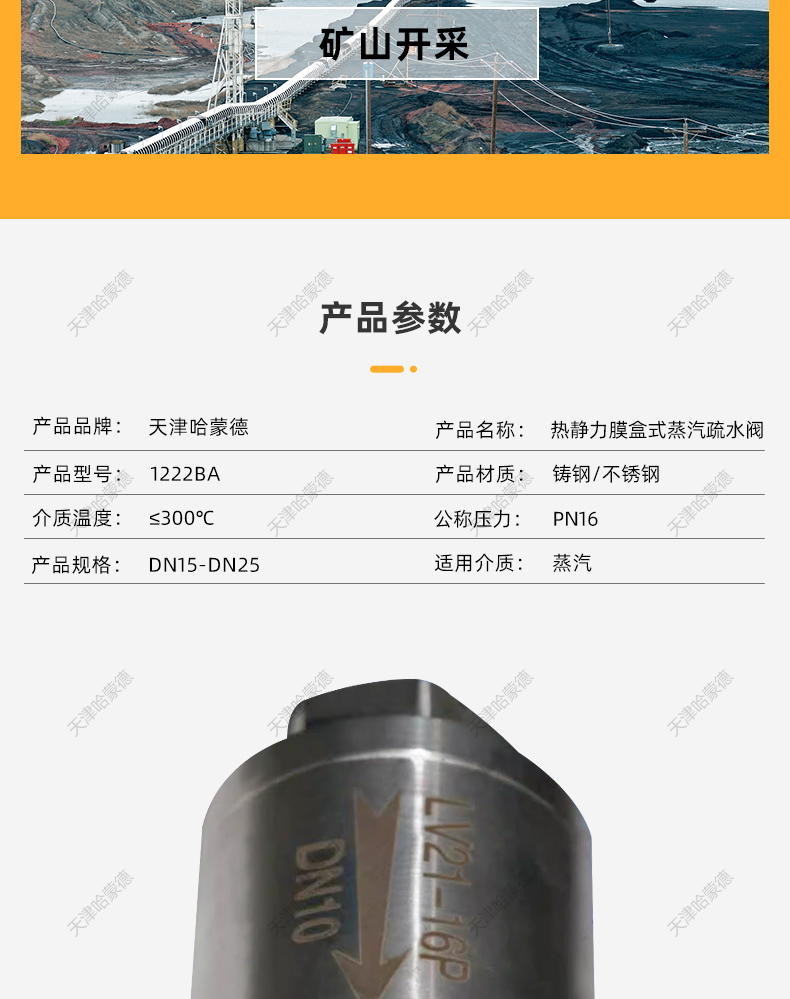 哈蒙德LV21热静力压力平衡式膜盒式内螺纹不锈钢蒸汽疏水阀不锈钢.jpg