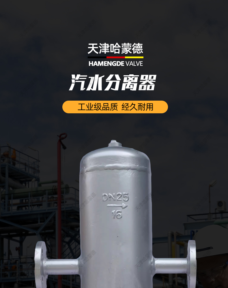 哈蒙德AS716P锅炉高温蒸汽压缩空气不锈钢法兰挡板式汽水分离器.jpg