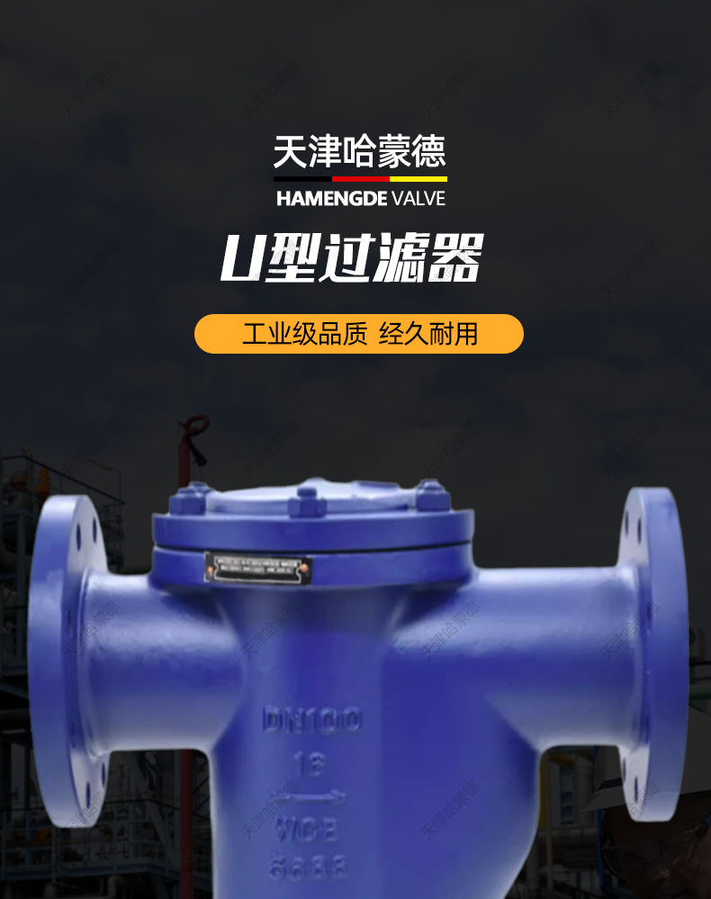 哈蒙德法兰U型蓝式过滤器排污除污器柴油石油液体管道铸钢LPG104.jpg