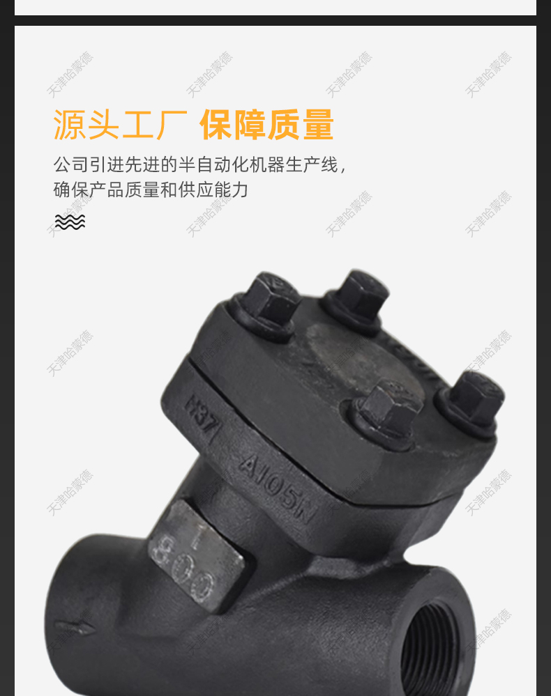 哈蒙德A105锻钢Y型过滤器内螺纹承插焊高压蒸汽导热油GL11H800LB.jpg