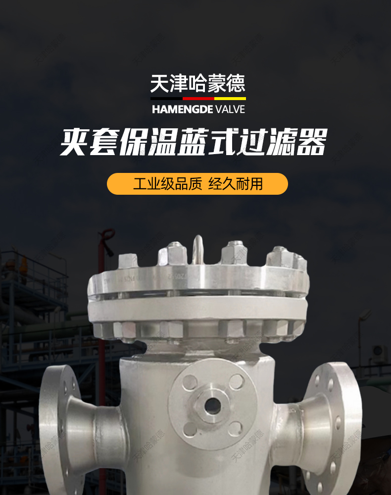 哈蒙德304不锈钢法兰夹套保温篮式过滤器除污器高温蒸汽BSBL16P.jpg
