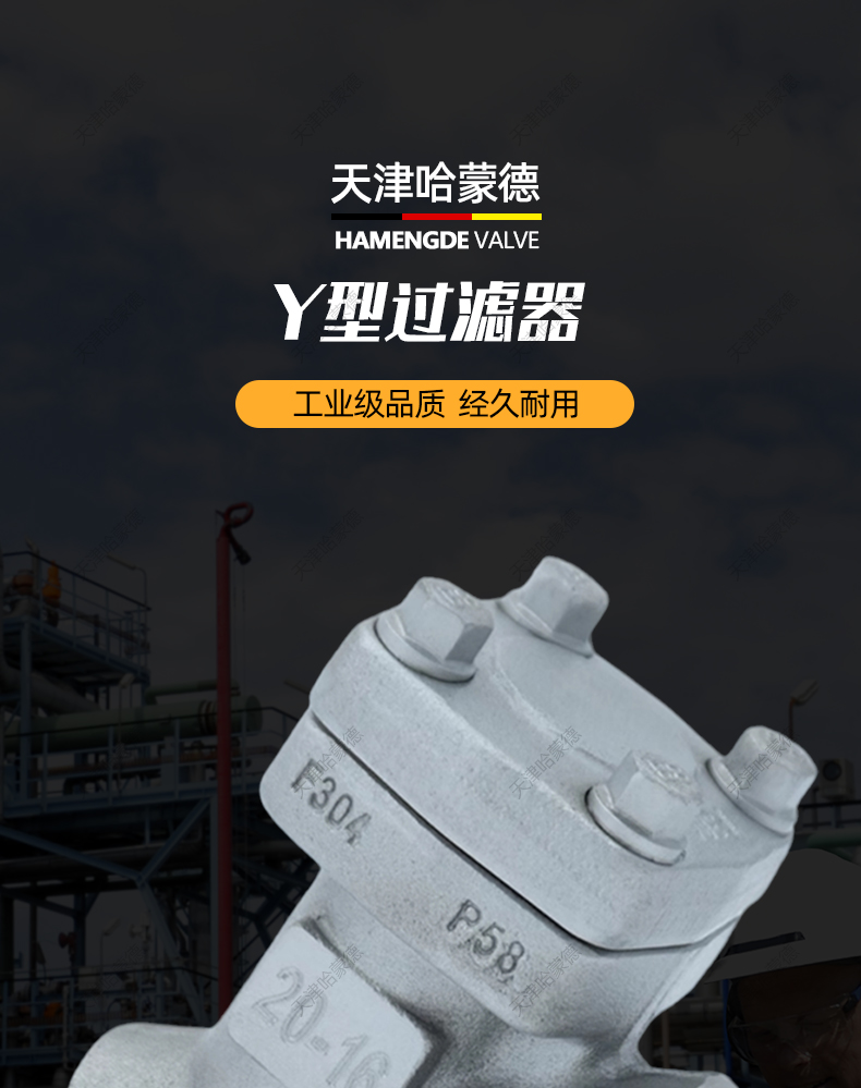 304不锈钢Y型过滤器高压高温蒸汽导热油内螺纹承插焊GL11W16/25P.jpg