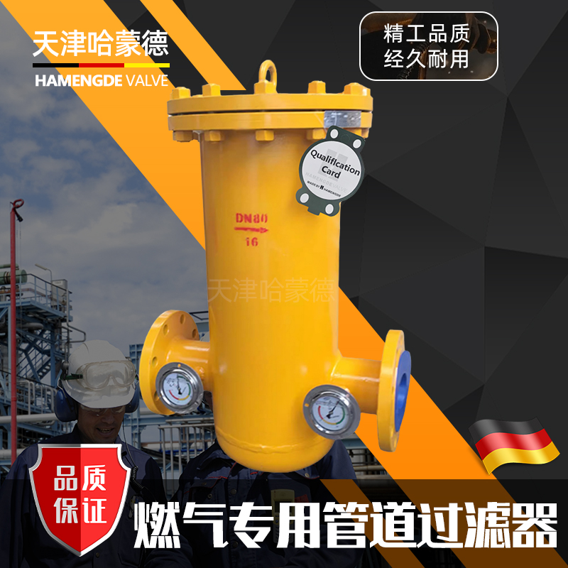 哈蒙德沼气液化石油煤气燃气天然气专用筒式法兰过滤器RQGL-16C