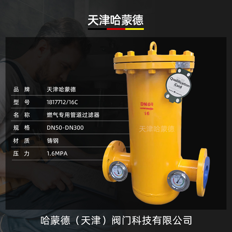 哈蒙德沼气液化石油煤气燃气天然气专用筒式法兰过滤器RQGL-16C