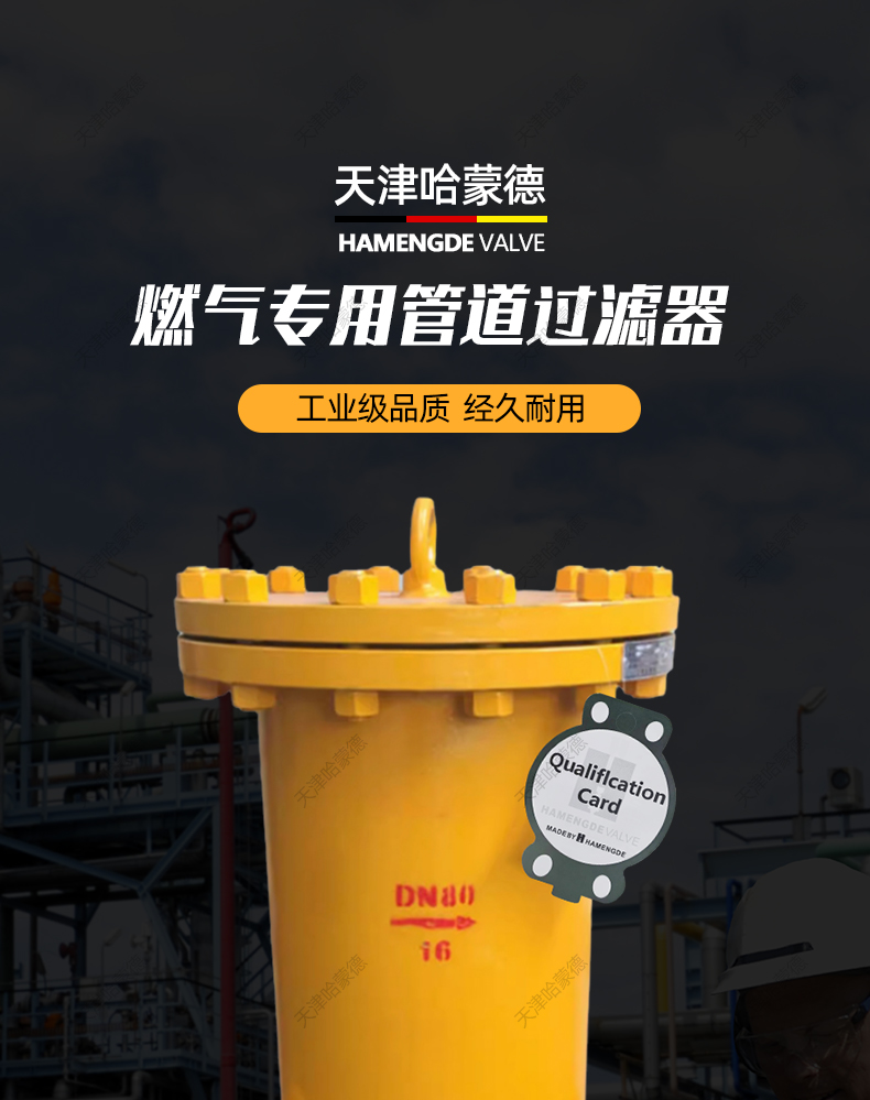 哈蒙德沼气液化石油煤气燃气天然气专用筒式法兰过滤器RQGL16C.jpg