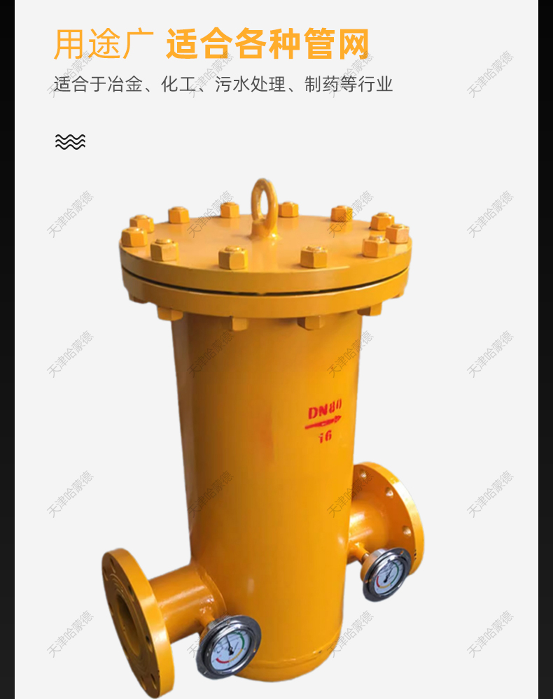 哈蒙德沼气液化石油煤气燃气天然气专用筒式法兰过滤器RQGL16C.jpg