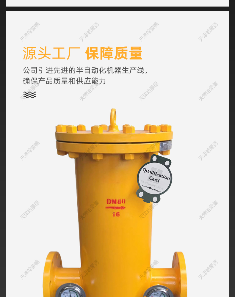 哈蒙德沼气液化石油煤气燃气天然气专用筒式法兰过滤器RQGL16C.jpg