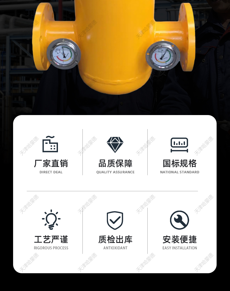 哈蒙德沼气液化石油煤气燃气天然气专用筒式法兰过滤器RQGL16C.jpg