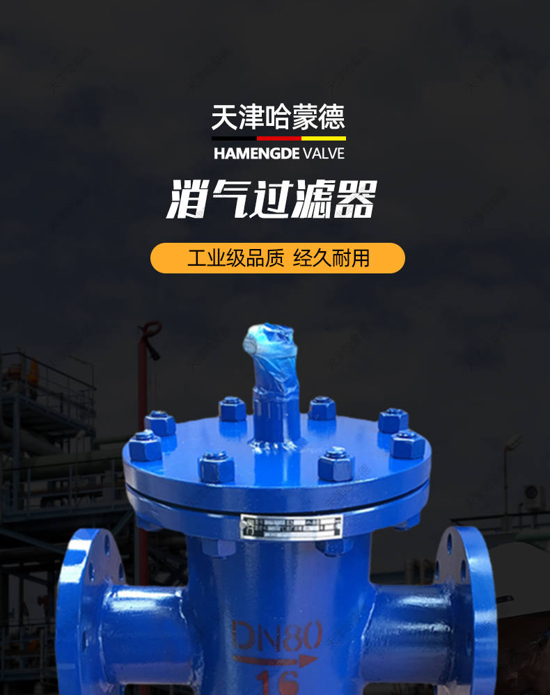 哈蒙德法兰消气过滤器篮式铸钢过滤器流量计石油汽油柴油SXQ16C.jpg