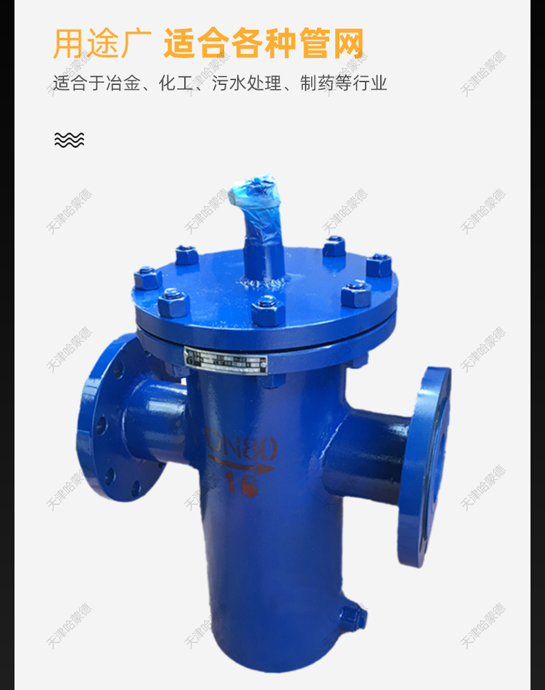 哈蒙德法兰消气过滤器篮式铸钢过滤器流量计石油汽油柴油SXQ16C.jpg