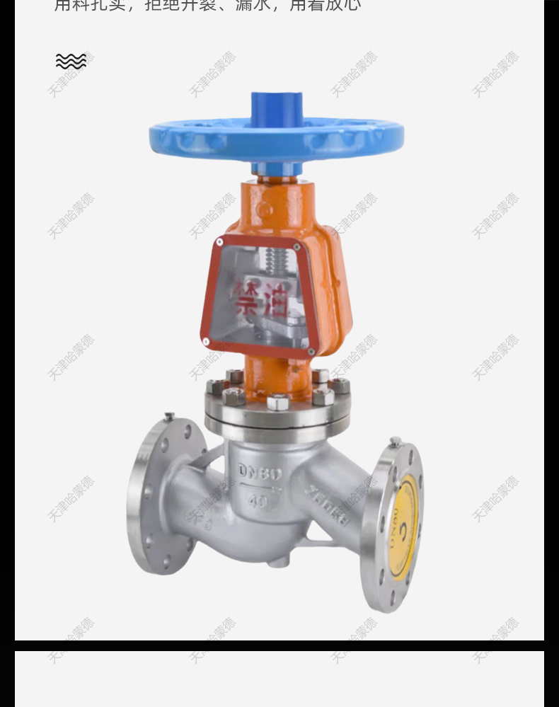 哈蒙德高压不锈钢法兰氧气截止阀专用脱脂禁油JY41W40P防火 静电.jpg