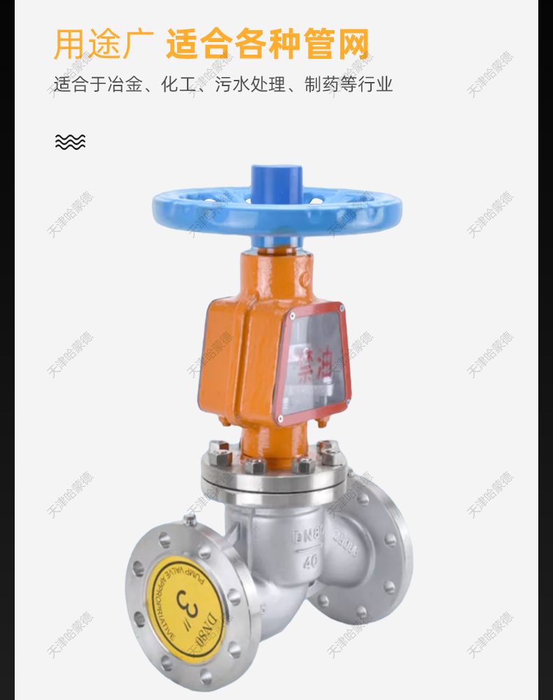 哈蒙德高压不锈钢法兰氧气截止阀专用脱脂禁油JY41W40P防火 静电.jpg