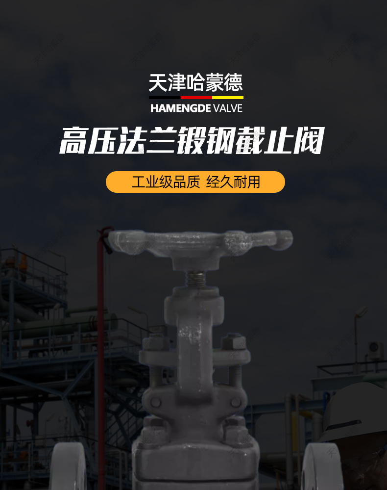哈蒙德锻钢法兰截止阀J41H40C锅炉化工高压高温蒸汽导热油A105.jpg