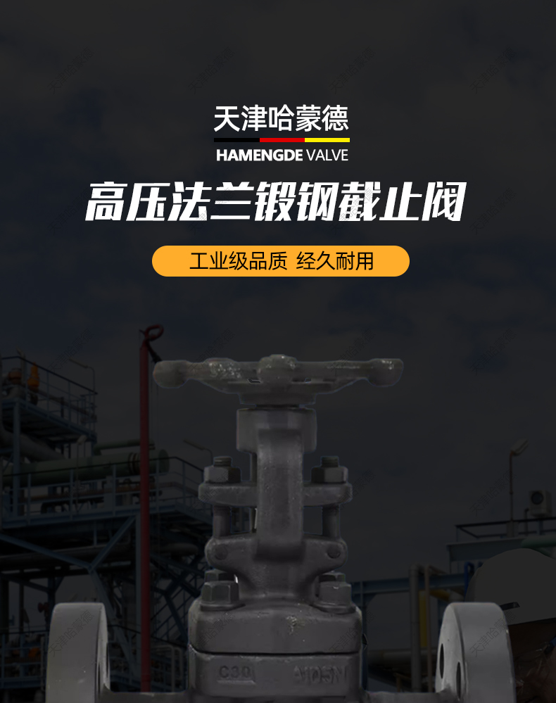 哈蒙德锻钢法兰截止阀J41H64C锅炉电站高温高压蒸汽导热油A105.jpg