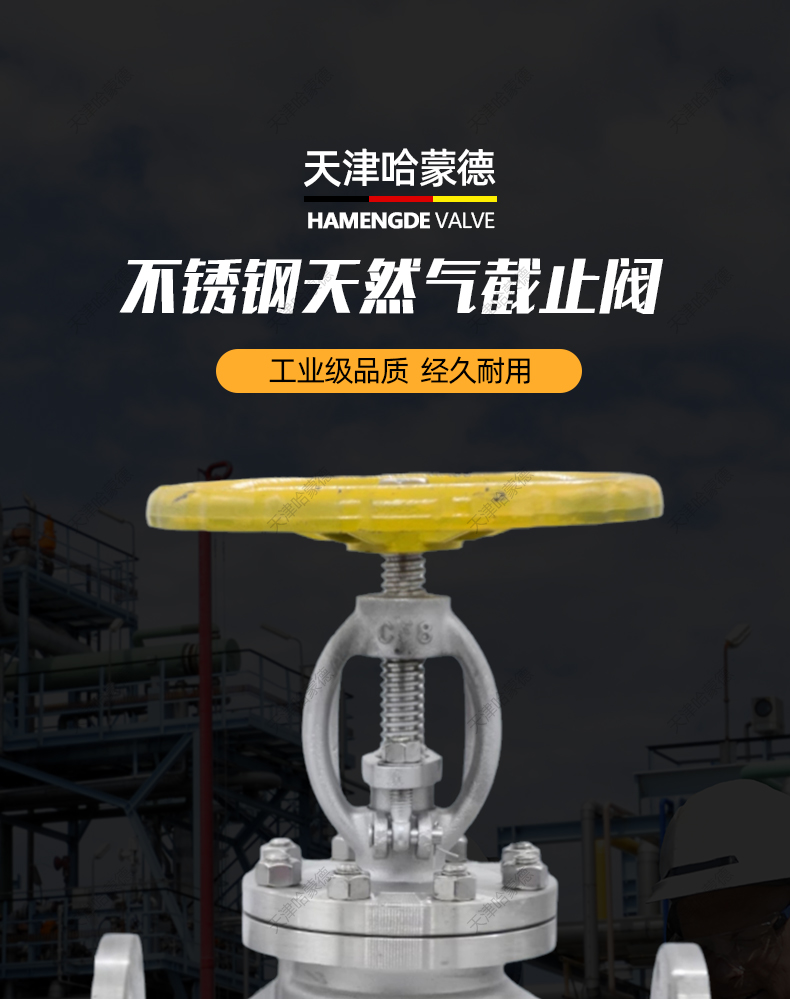 哈蒙德304不锈钢法兰截止阀氮气燃气天然气液化气锅炉J41F16P.jpg