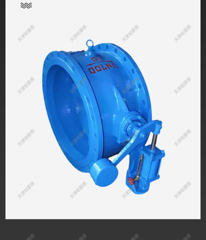 哈蒙德HH47X10/16C缓冲蝶式止回阀防震斜倒流消除水锤密封单向阀.jpg