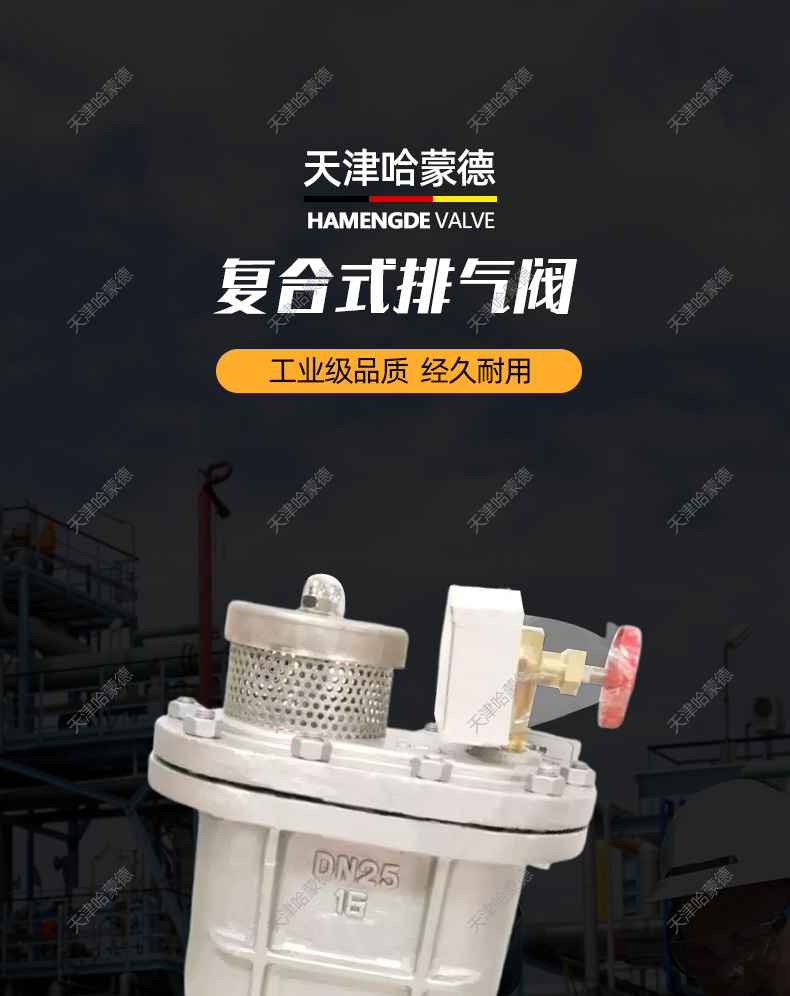 哈蒙德CARX16P 304不锈钢复合式排气阀快速自动排气阀DN50 80.jpg