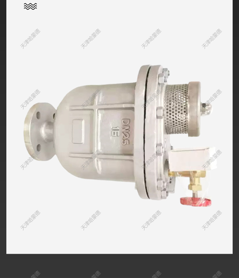 哈蒙德CARX16P 304不锈钢复合式排气阀快速自动排气阀DN50 80.jpg