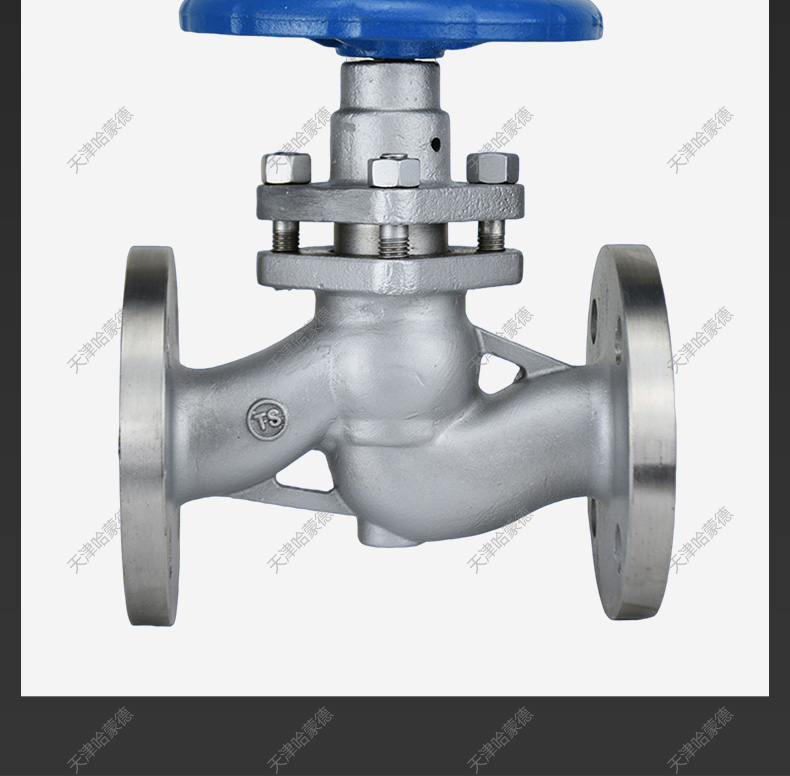 哈蒙德U41S16P/25P 304不锈钢高温法兰柱塞阀316L锅炉蒸汽柱塞阀.jpg