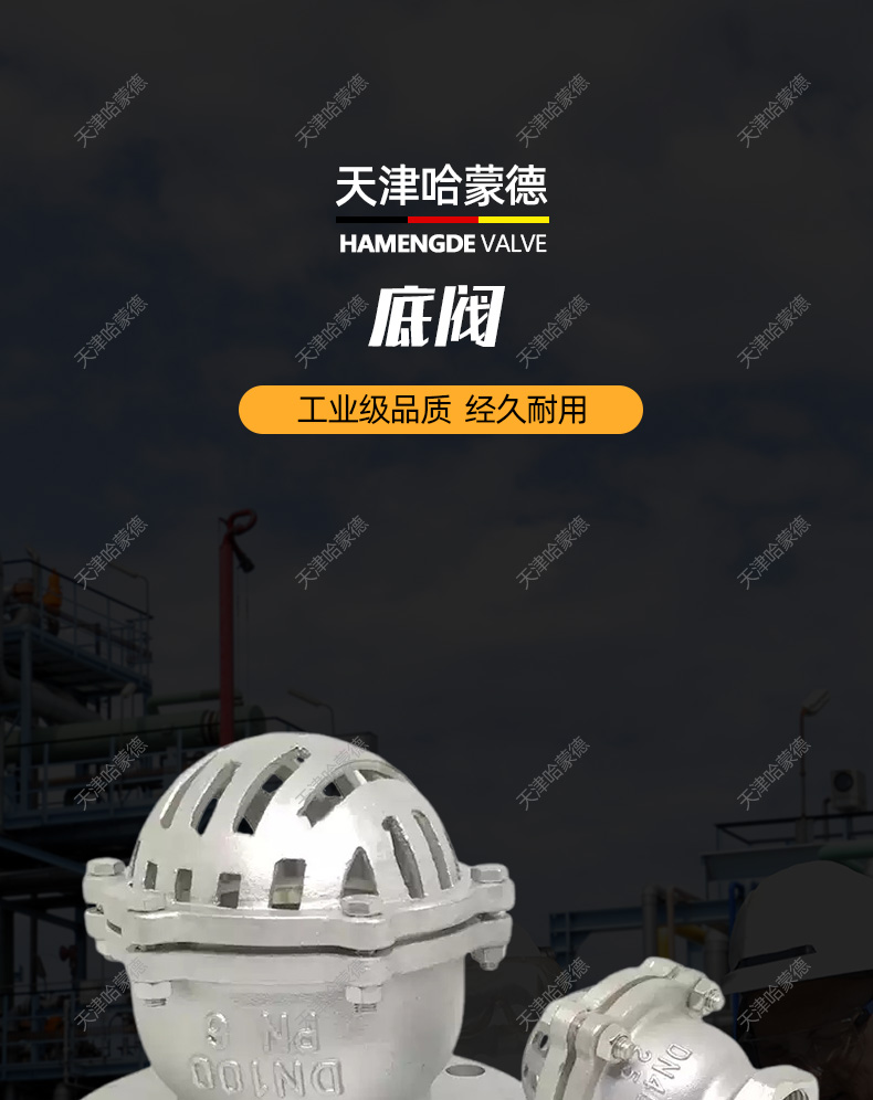 哈蒙德304不锈钢底阀止回阀H42W-6P吸抽水法兰升降式井水泵底阀.jpg