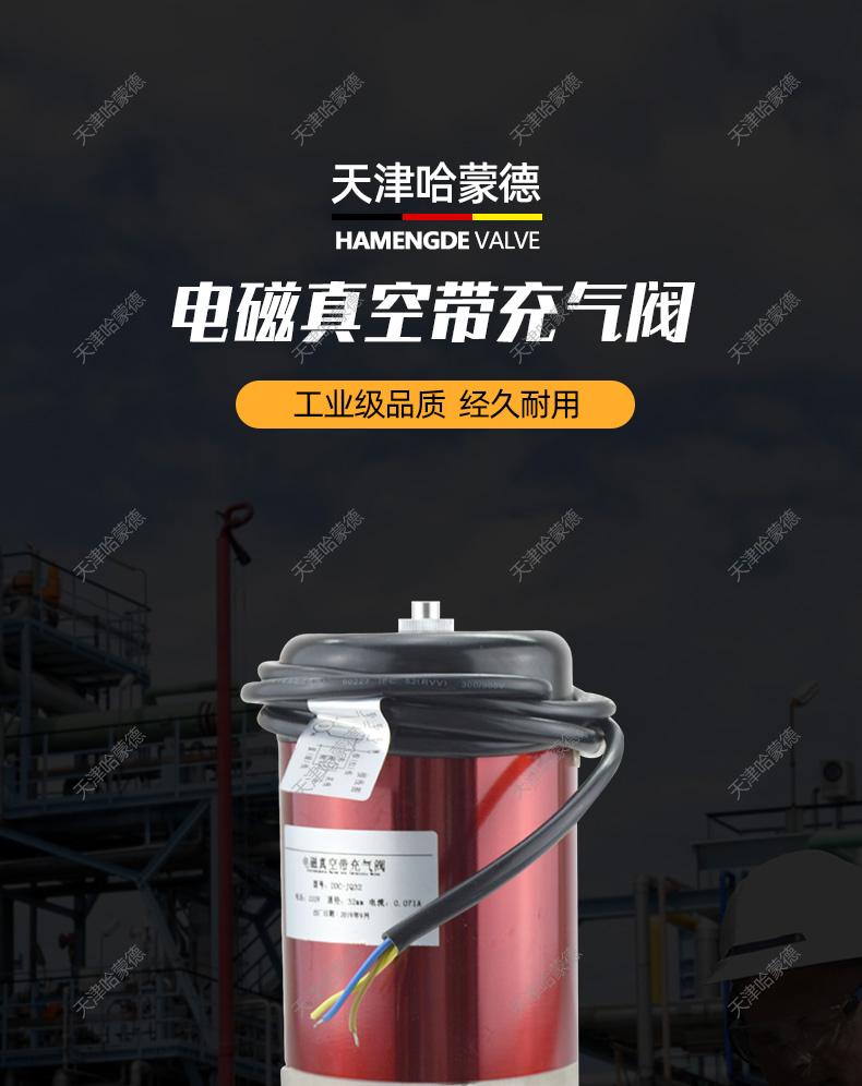 哈蒙德机械式真空泵专用220V电磁真空带充气阀DDCJQ16 25 32 40.jpg