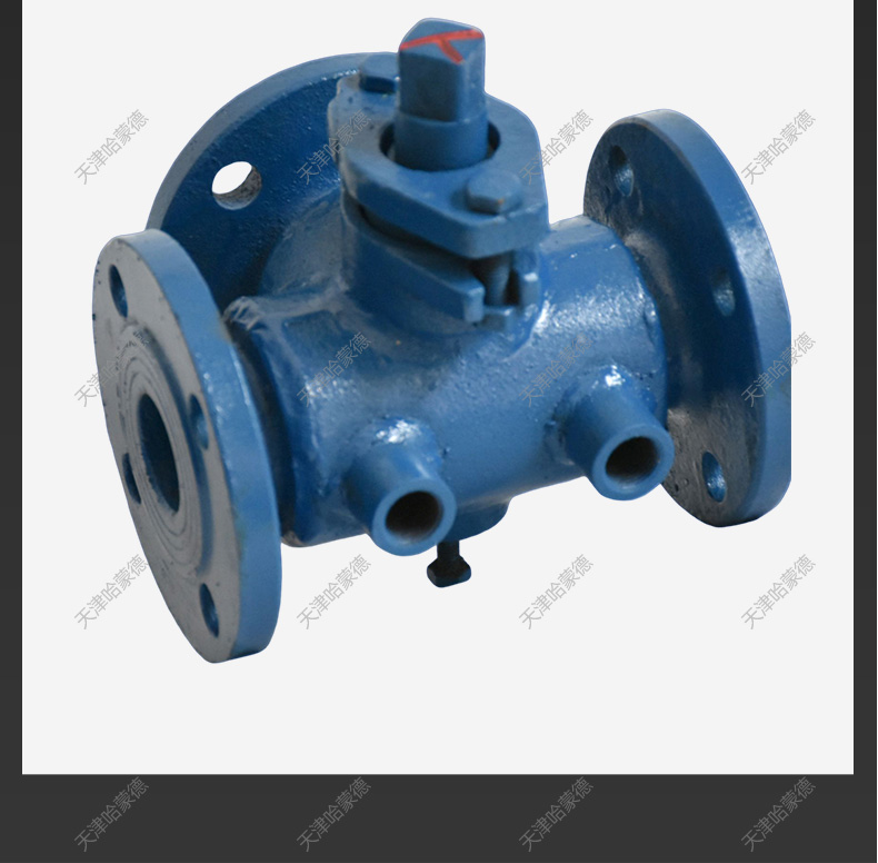 哈蒙德直通旋塞阀X43W10C法兰铸钢两通二通旋塞阀DN100蒸汽油品.jpg