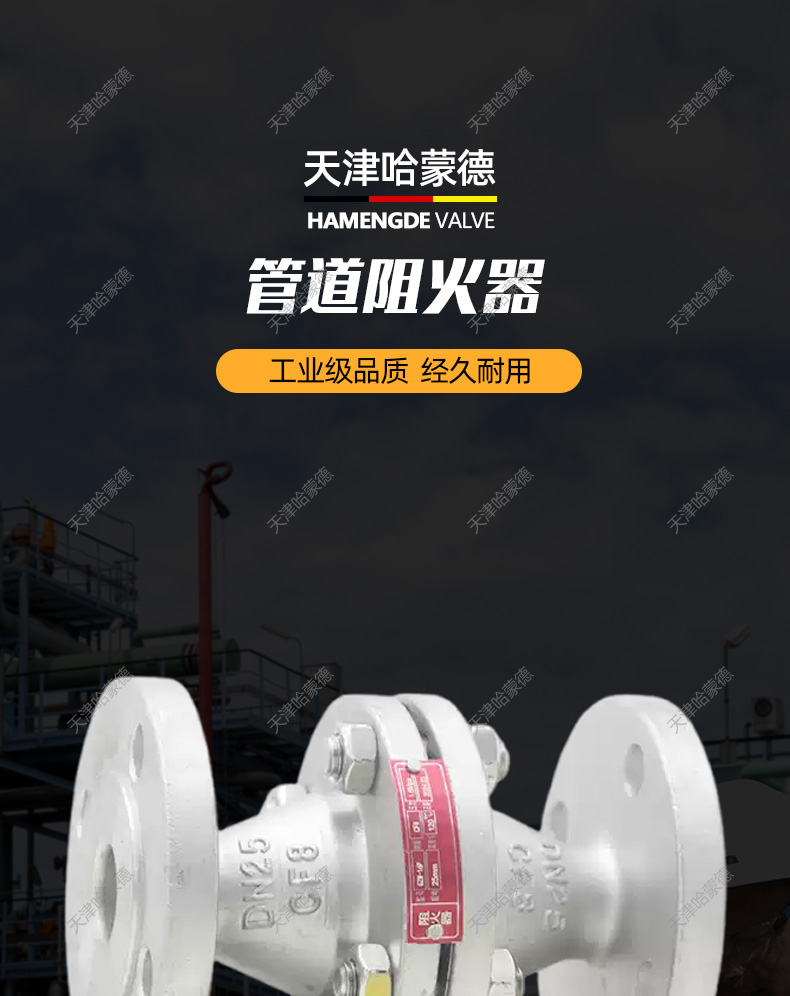 哈蒙德全不锈钢法兰防爆管道阻火器GZW1燃气天然气柴油煤油石油.jpg