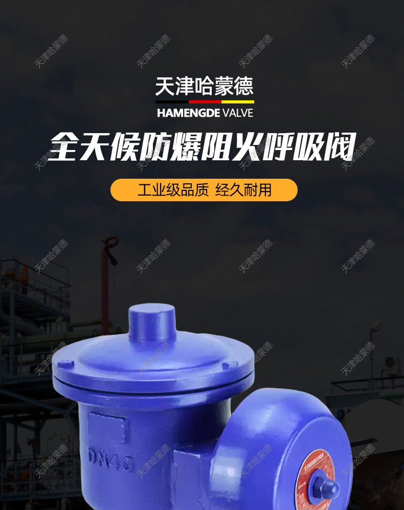 哈蒙德全天候铸钢法兰防爆呼吸阀ZFQ-2储罐油罐车石油汽油阻火器.jpg
