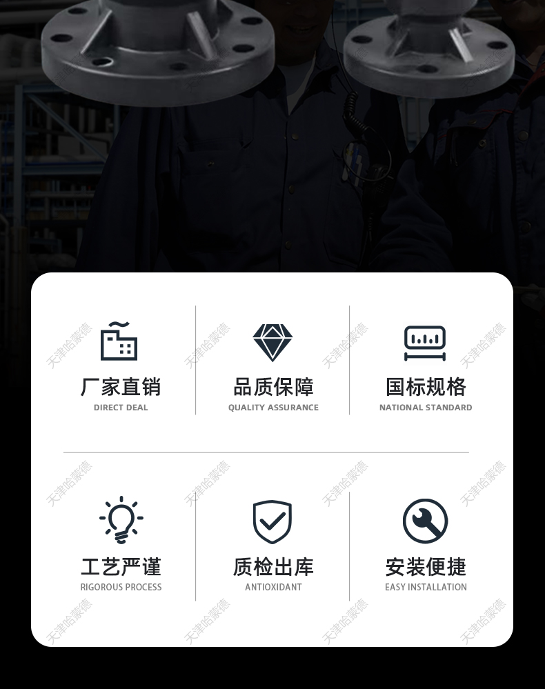 哈蒙德 PE立式法兰止回阀耐酸碱化工专用pe/pp塑料单向阀H41F10S.jpg