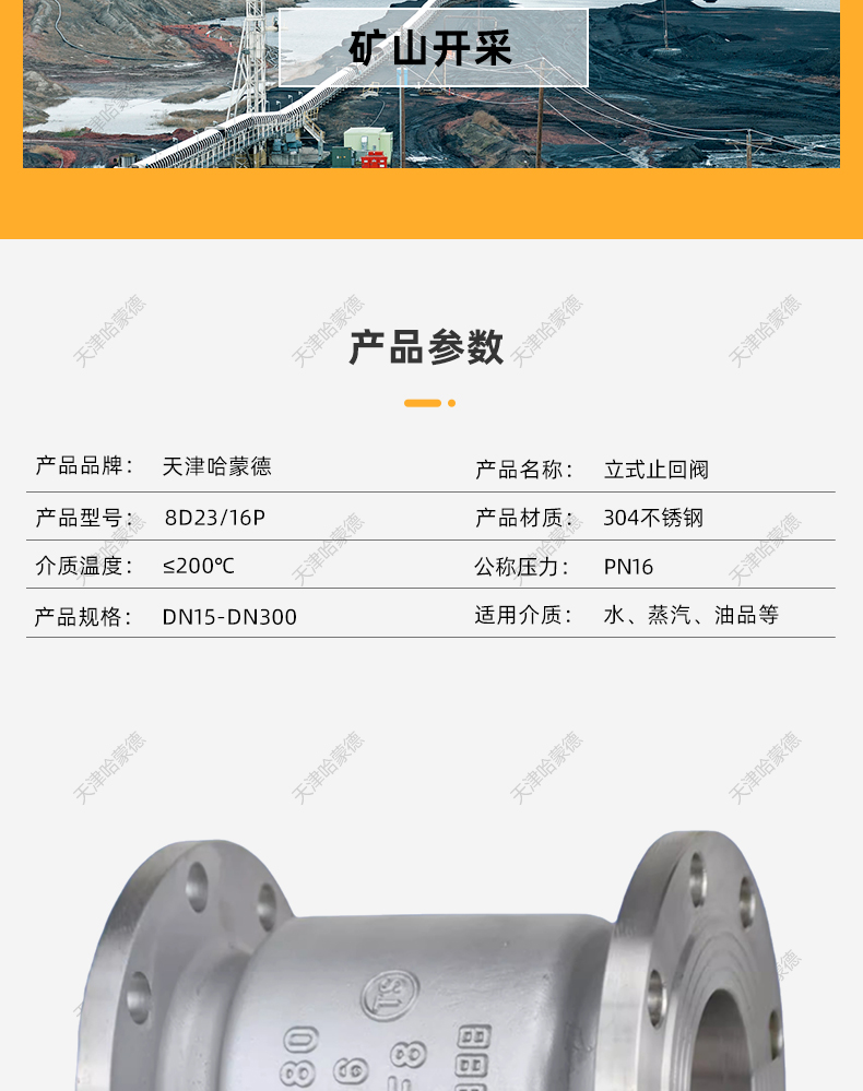 H42W-16P不锈钢立式止回阀304法兰单向逆止阀水泵DN50 65 80 100.jpg