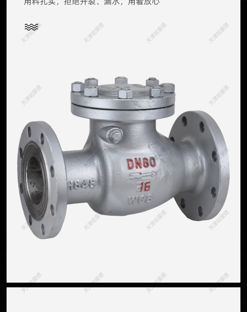哈蒙德H44H-40C铸钢旋启式高压法兰止回阀凹凸面卧式逆止阀PN 40C.jpg