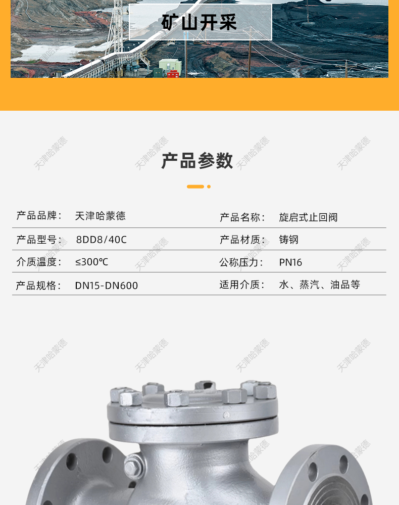 哈蒙德H44H-40C铸钢旋启式高压法兰止回阀凹凸面卧式逆止阀PN 40C.jpg