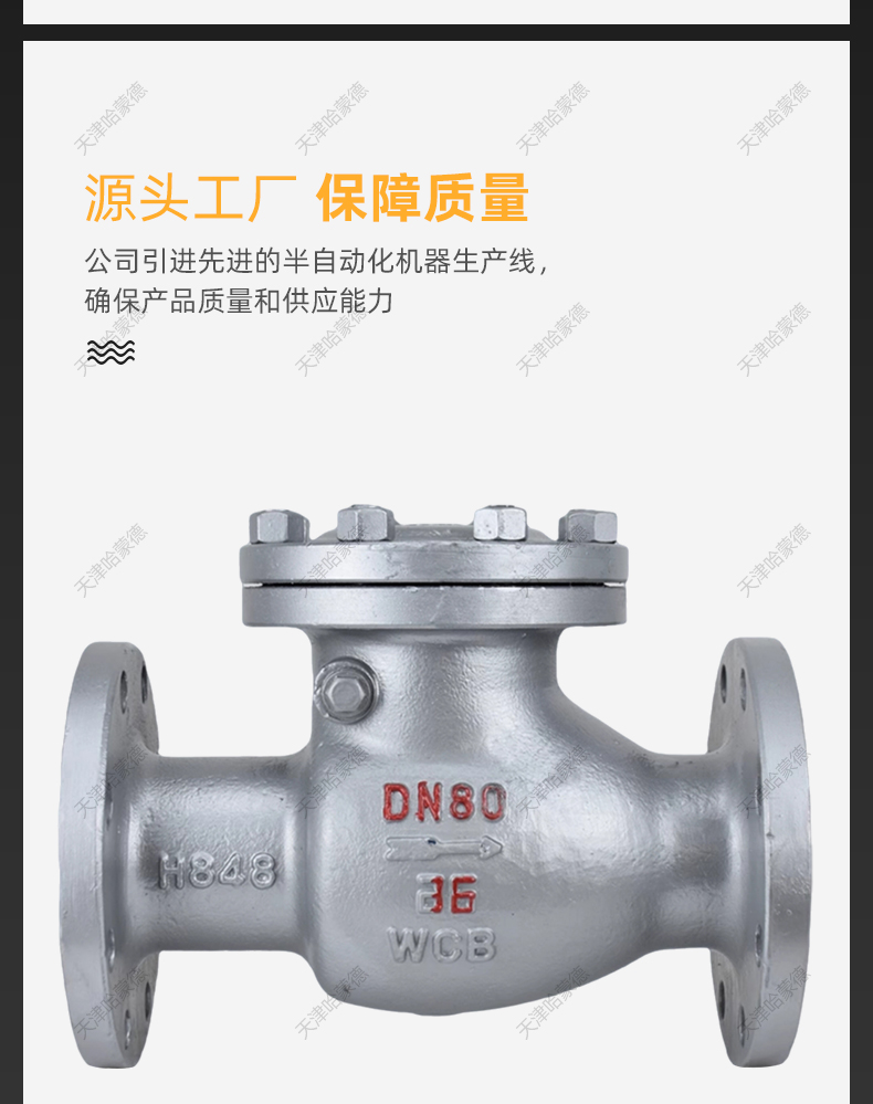 哈蒙德H44H-40C铸钢旋启式高压法兰止回阀凹凸面卧式逆止阀PN 40C.jpg