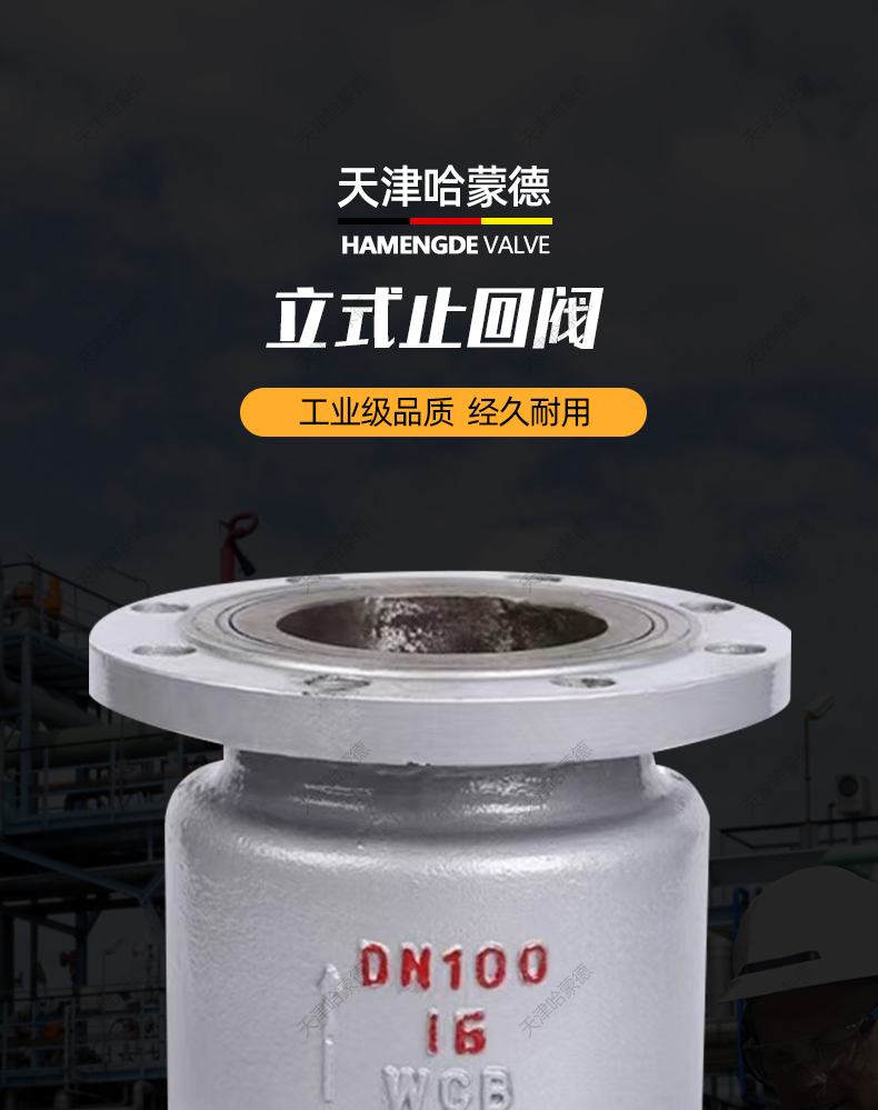 哈蒙德H42H16C铸钢法兰立式止回阀卧式单向阀逆止阀防倒流高温.jpg