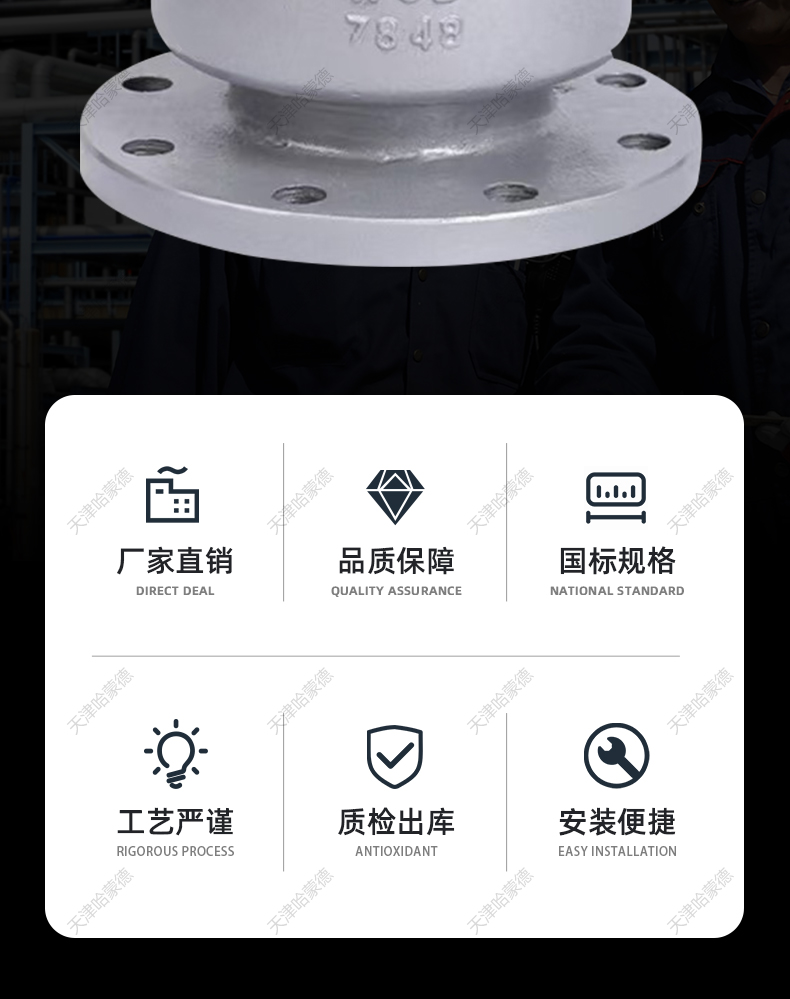 哈蒙德H42H16C铸钢法兰立式止回阀卧式单向阀逆止阀防倒流高温.jpg