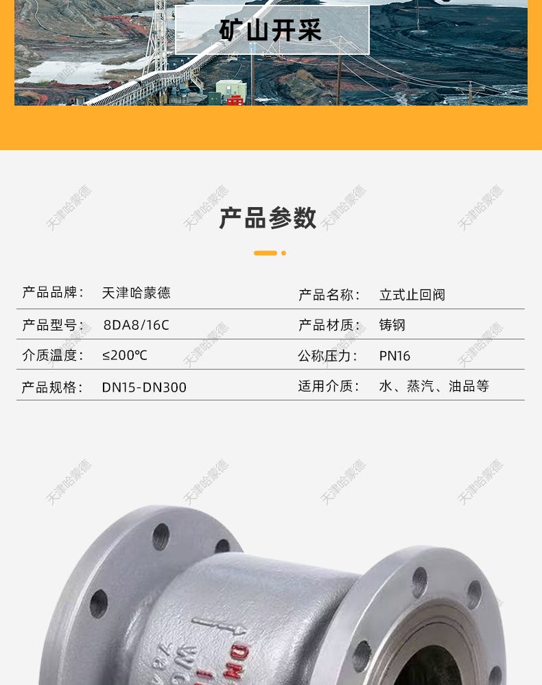 哈蒙德H42H16C铸钢法兰立式止回阀卧式单向阀逆止阀防倒流高温.jpg