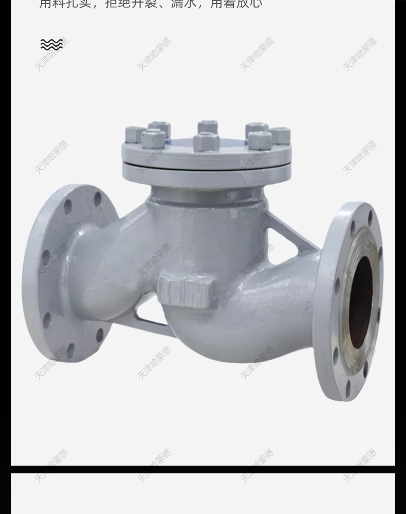 哈蒙德H41H16C铸钢升降式法兰逆止止回阀单向阀DN40 50 80 100.jpg