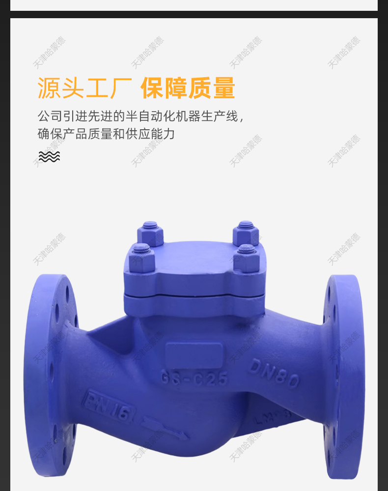 哈蒙德H41H16C高温蒸汽防倒流德标波纹管升降式止回阀法兰单向阀.jpg