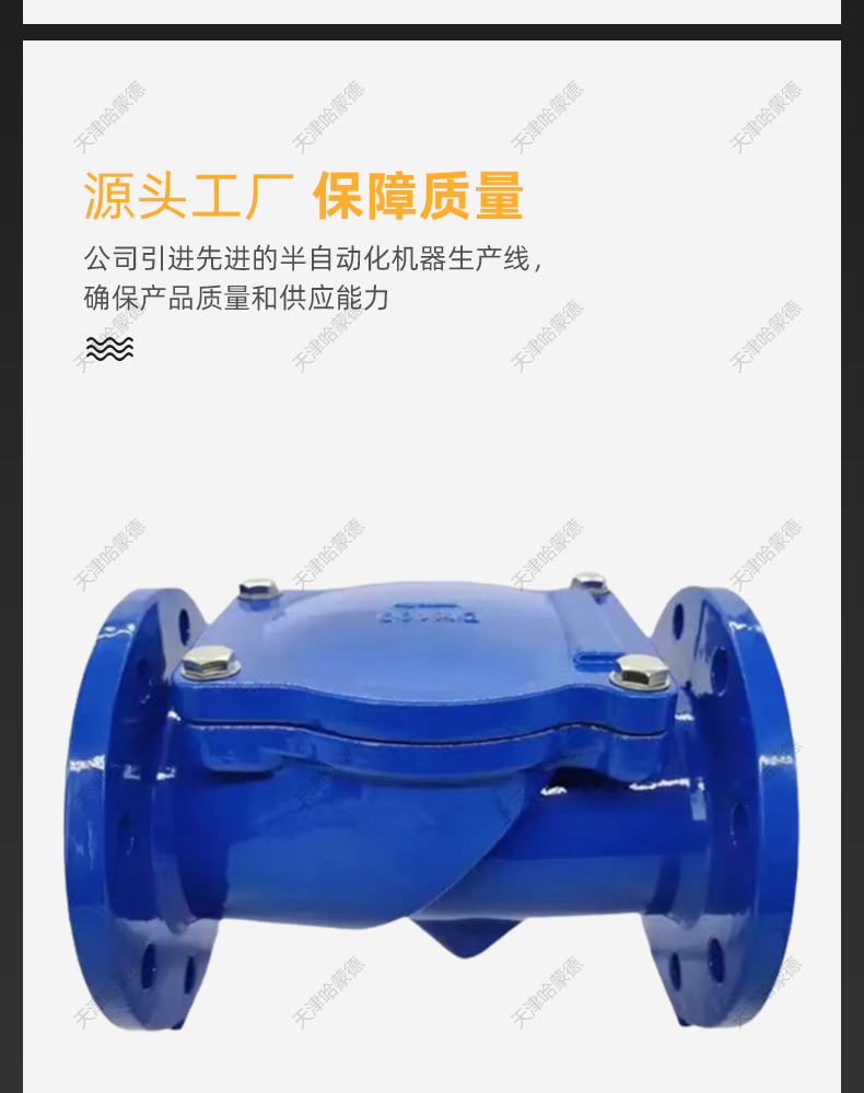 哈蒙德H44X16Q法兰橡胶瓣止回阀SFCV管道卧式橡胶板单向阀逆止阀.jpg