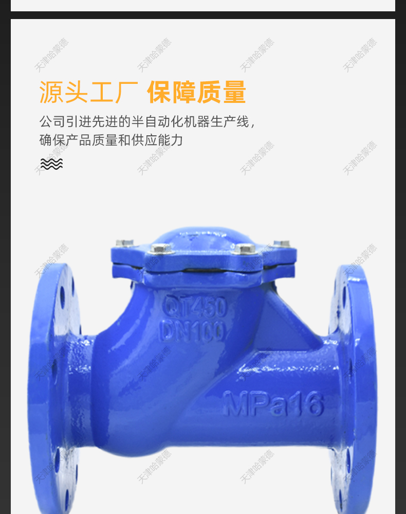 哈蒙德HQ41X16Q球型止回阀法兰立式排污水滑道滚球式止逆单向阀.jpg