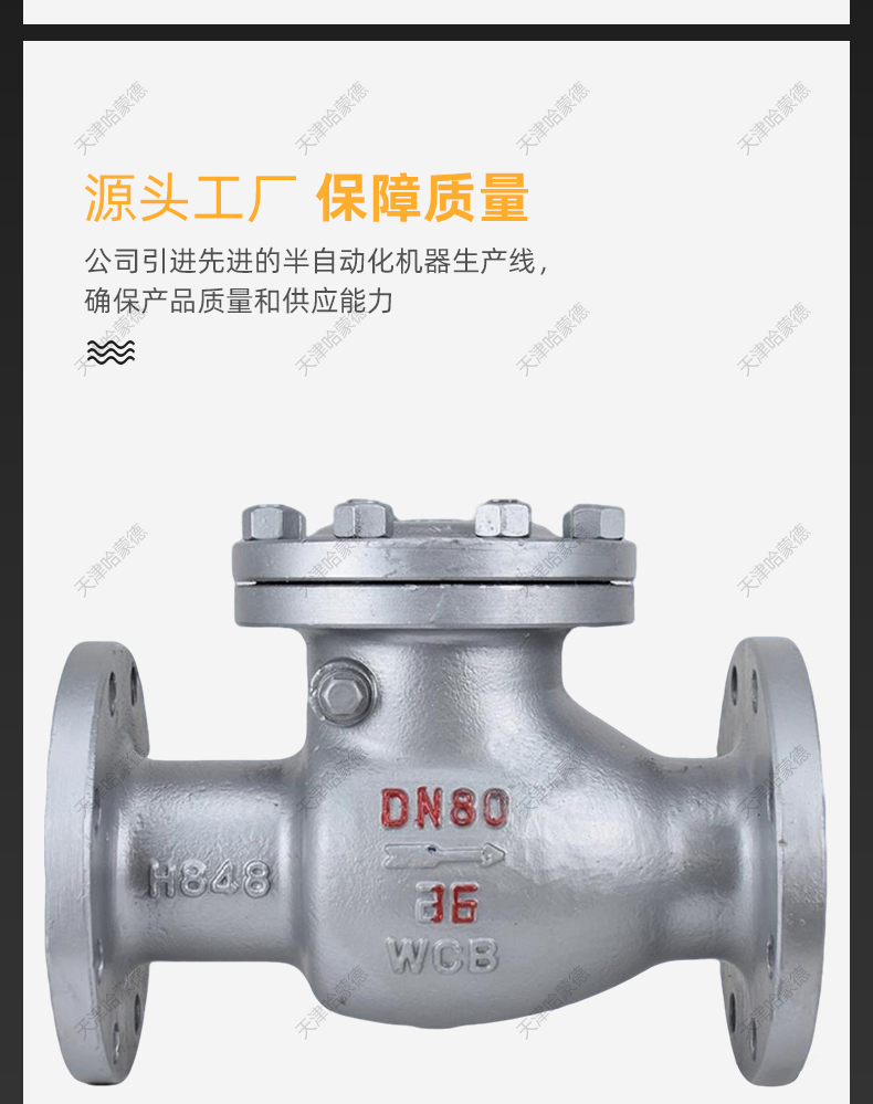哈蒙德H44H16C铸钢止回阀单向阀旋启式法兰卧式逆止阀防倒流蒸汽.jpg