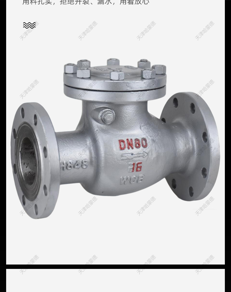 哈蒙德H44H16C铸钢止回阀单向阀旋启式法兰卧式逆止阀防倒流蒸汽.jpg