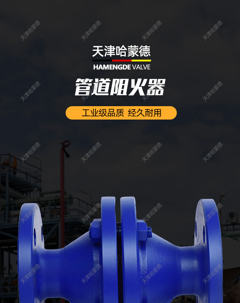哈蒙德铸钢/不锈钢法兰防爆管道阻火装置GZW1燃气天然气石油储罐.jpg