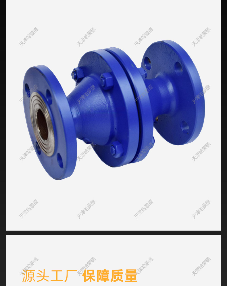 哈蒙德铸钢/不锈钢法兰防爆管道阻火装置GZW1燃气天然气石油储罐.jpg