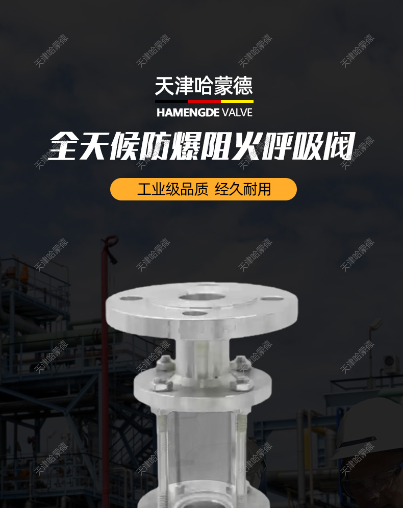 HGS07-126全天候防爆阻火呼吸阀.jpg
