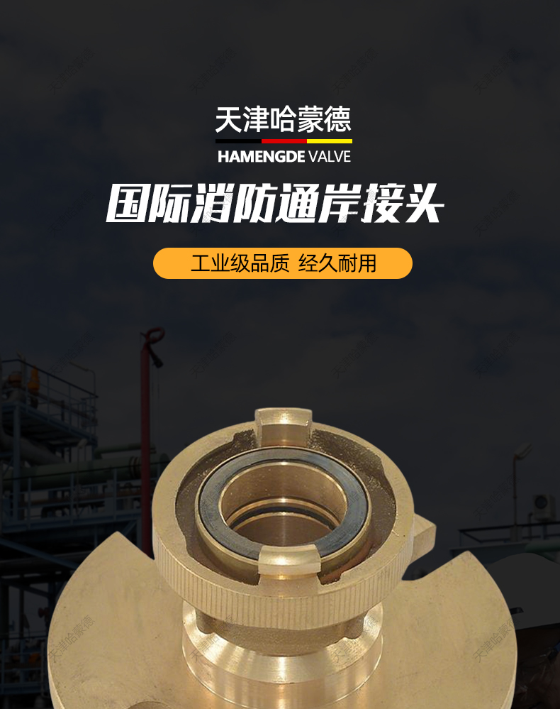 哈蒙德船用国际消防通岸接头GB/T203194油污水接头国际消防通岸.jpg
