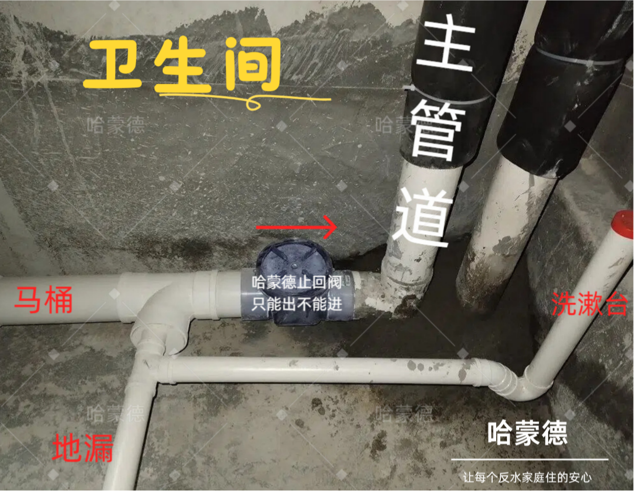 止回阀装哪最管用？全屋拆解.png