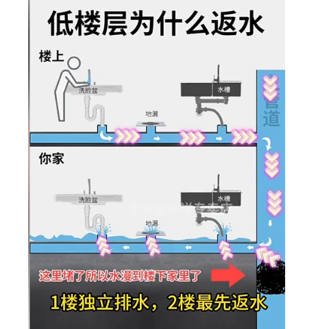 为什么2/3楼是反水“重灾区”？一张图看懂你家排水系统1777386756684967.jpg