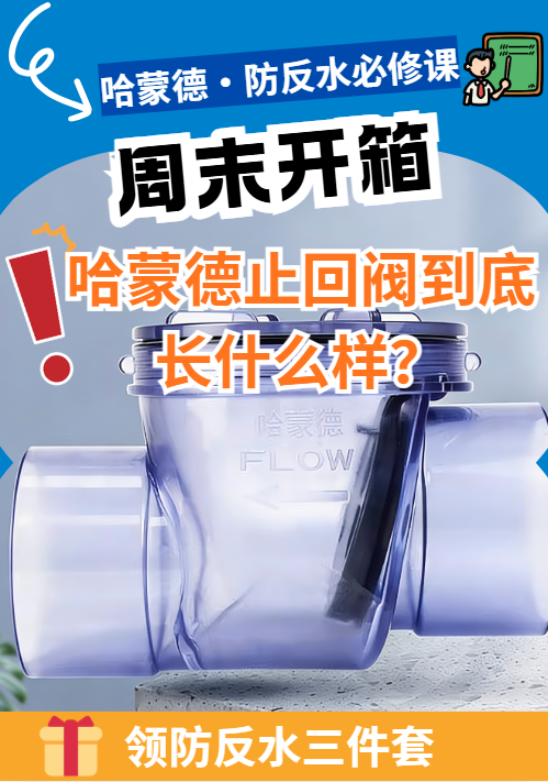 周末开箱：哈蒙德止回阀到底长什么样？1777451651204819.png