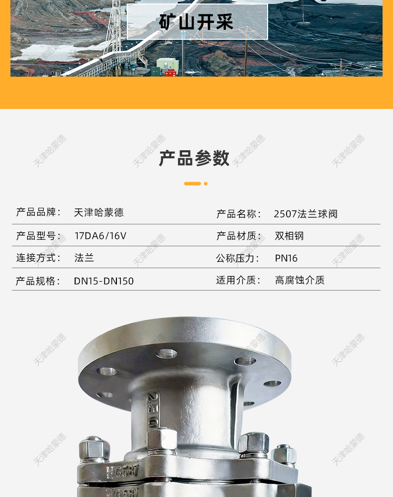 哈蒙德2507法兰球阀Q41F-16V高压双相钢特材耐腐蚀耐高温电动气动.jpg